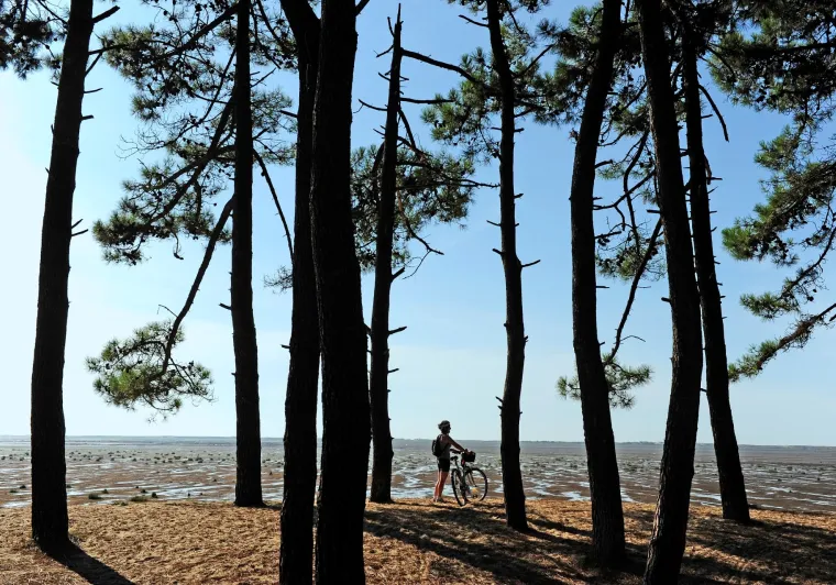 De La Rochelle à Arcachon : la côte Atlantique à vélo