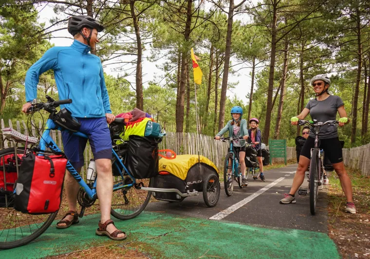 Piste cyclable en forêt
