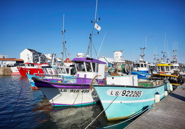 portdepechestgillescroixdevie