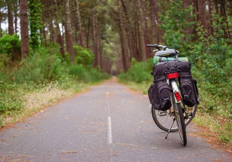 forêt des landes velodyssee