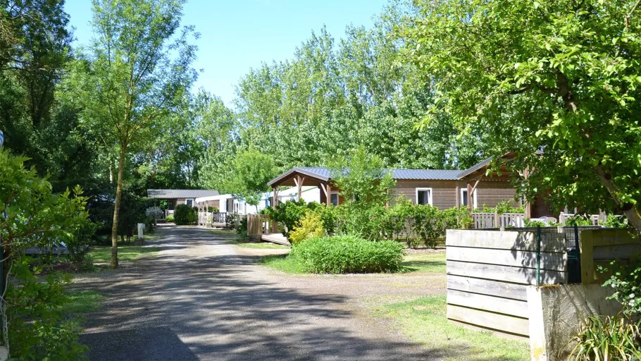 Camping la Loire Fleurie photo 3