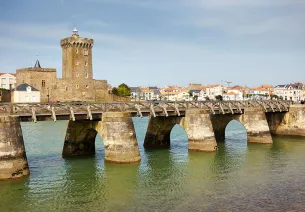 line train Nantes et Sables d'Olonne