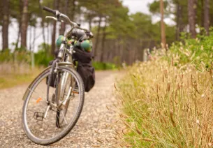idées séjours vélo foret landes