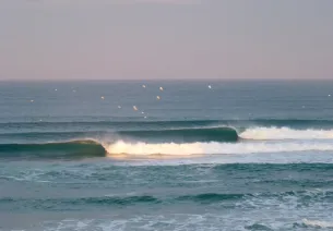 The surf spot in Lacanau