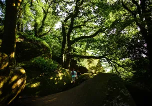 foret de huelgoat
