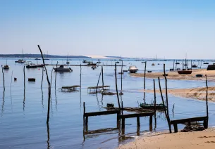 Unsplash - Tanja Cotoaga