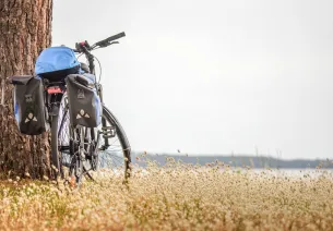 selle de vélo et panier