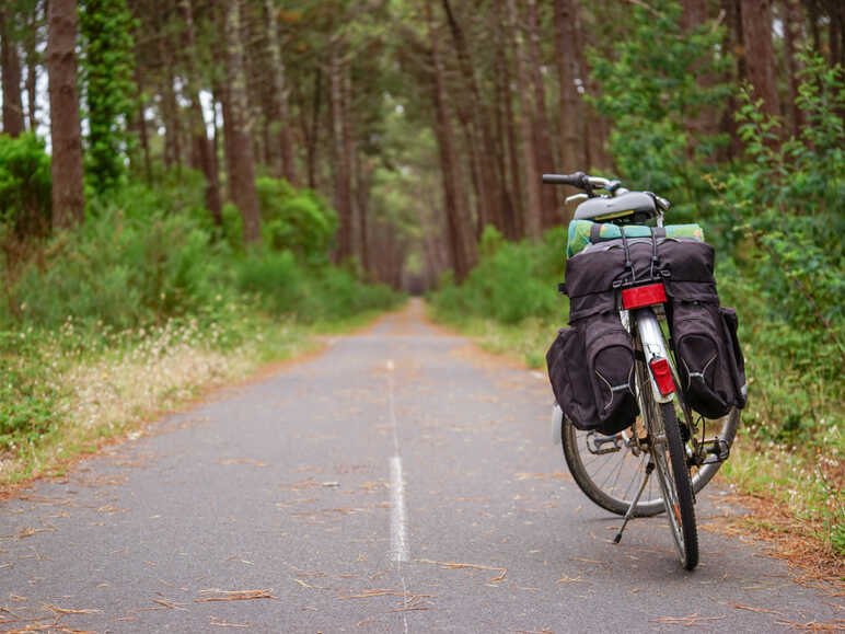 Vélo dans les Landes