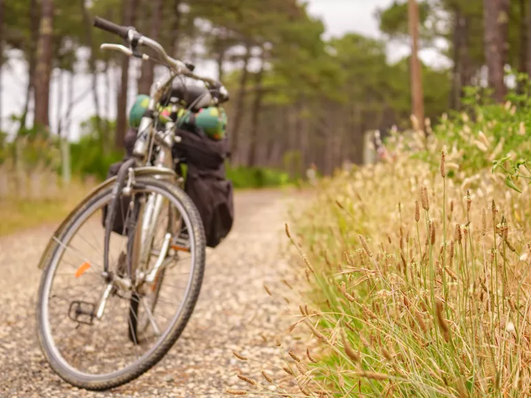 idées séjours vélo foret landes