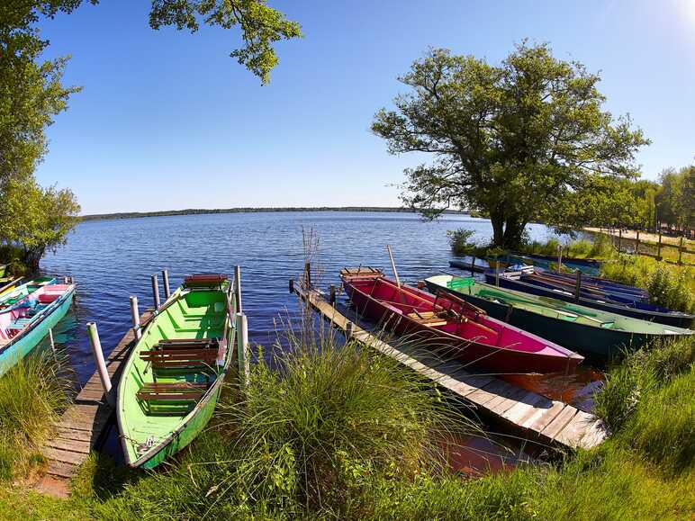 Boats on the lakes of Landes - Léon