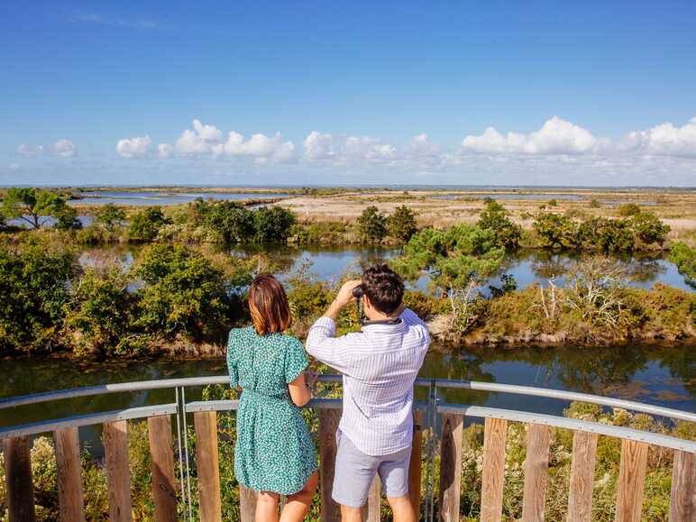 reserve ornithologique le teich