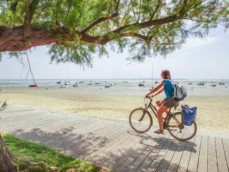 Velo lande online
