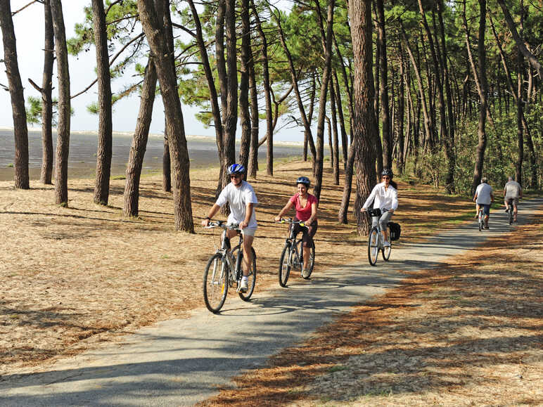 Cycling on the Côte Sauvage in the Forest of la Coubre