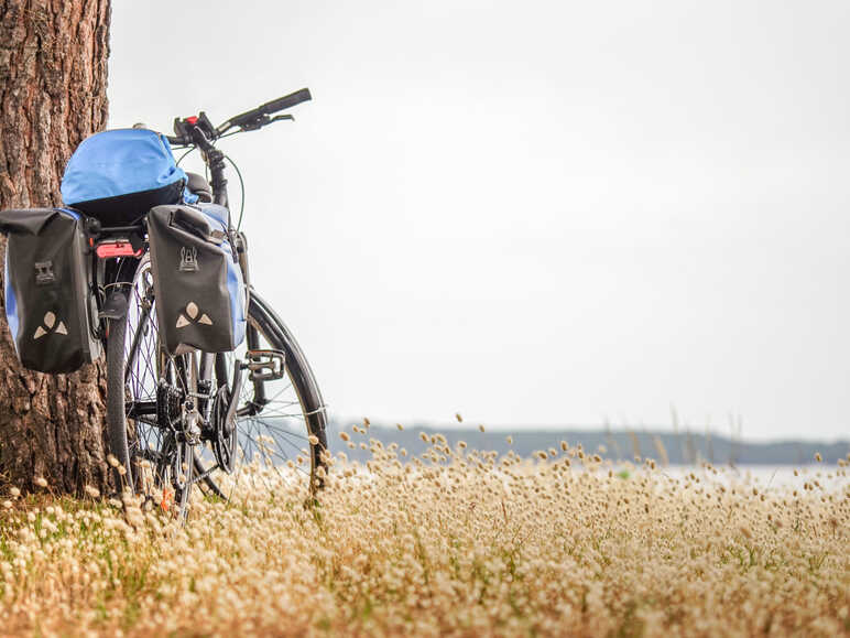selle de vélo et panier